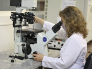 Desarrollan en Mendoza un proyecto de biotecnología para impulsar la producción caprina