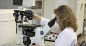Desarrollan en Mendoza un proyecto de biotecnología para impulsar la producción caprina