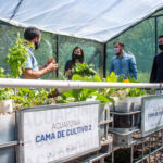 Vivero-Agencia-17