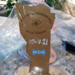 WhatsApp Image 2021-04-02 at 14.20.52