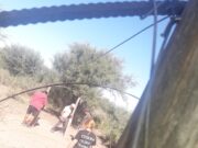 Se agranda el pulmón productivo de agricultores familiares en Donovan