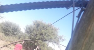 Se agranda el pulmón productivo de agricultores familiares en Donovan