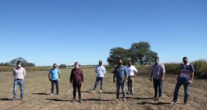 El Gobierno de San Luis cultiva alfalfa para disminuir el desbalance hídrico de la Cuenca del Morro