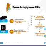 expo trigo para aca y alla