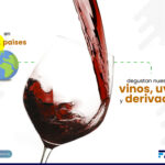 expo vinos, uvas y derivados