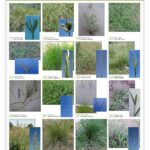 inta_lamina_2_hoja_angostab_page-0001