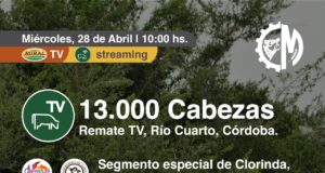 Todos los valores: Colombo subastó 13.000 cabezas por TV desde Río Cuarto