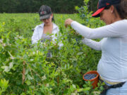 Agricultura destinará más de 29 millones de pesos para desarrollos productivos de mujeres cuyanas
