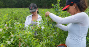 Agricultura destinará más de 29 millones de pesos para desarrollos productivos de mujeres cuyanas