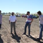 visita-alfalfa2