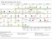 Calendario biodinámico para la siembra de junio 2021