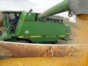 Ocho de cada diez productores prevén vender parte de su cosecha en esta campaña