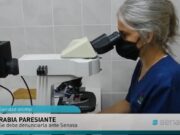 Rabia paresiante: Detección temprana y notificación, puntos claves para su control