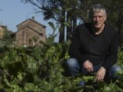 SemillAR: un programa para rescatar las semillas nativas para la producción