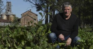 SemillAR: un programa para rescatar las semillas nativas para la producción