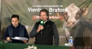 Colombo y Magliano remató vientres Braford