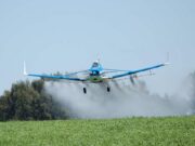 Un debate cada vez más extendido: agroquímicos vs agroecología