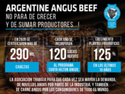 En 2020 Angus certificó más de 290 mil cabezas para exportación