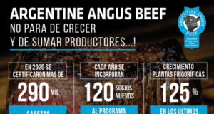 En 2020 Angus certificó más de 290 mil cabezas para exportación