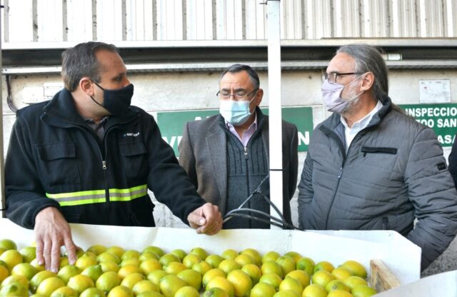 13 - 05 - limones a la UE 2