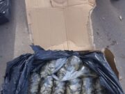 El Senasa decomisó 192 kilos de pulpa de ostras