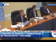 Dictamen favorable en Diputados para el proyecto de biocombustibles