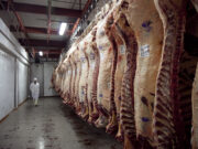 Agricultura inhabilitó la operación de 12 empresas exportadoras e interdictó más de 220 mil kilos de carne vacuna