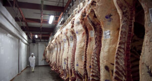 Agricultura inhabilitó la operación de 12 empresas exportadoras e interdictó más de 220 mil kilos de carne vacuna