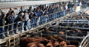 Carne: cómo son las maniobras de exportadores truchos que investiga el Gobierno