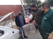 Decomisan aves comercializadas en la vía pública sin documentación de procedencia