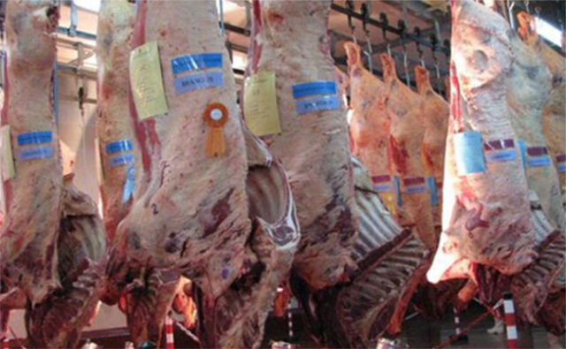 Exportacion-Carne-Argentina-650x401