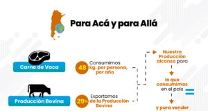 Cierre a las exportaciones de la carne: datos actualizados y reflexiones de FADA