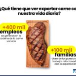 Gráfica Export carne vida diaria