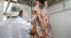 El frigorífico de Justo Daract, una opción de faena para productores bovinos y porcinos locales