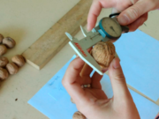 La UNCUYO desarrolló un catálogo para el sector nogalero