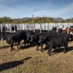 WhatsApp Image 2021-05-10 at 16.20.35