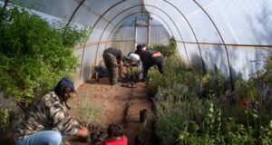 Comenzó el ciclo de capacitaciones para beneficiarios del programa Potenciar Trabajo