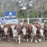 WhatsApp Image 2021-05-20 at 06.28.06 (2)