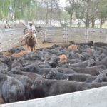 WhatsApp Image 2021-05-20 at 06.28.07