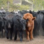 WhatsApp Image 2021-05-20 at 06.28.08 (2)