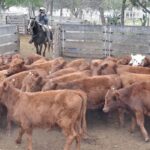 WhatsApp Image 2021-05-20 at 06.28.08 (3)