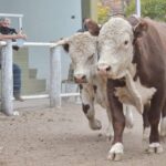 WhatsApp Image 2021-05-20 at 06.29.22 (1)