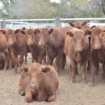 WhatsApp Image 2021-05-20 at 06.29.24 (3)