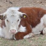 WhatsApp Image 2021-05-20 at 06.29.26 (2)