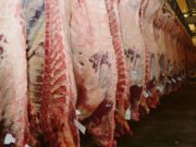 Aseguran que cerrar exportaciones no bajará el precio de la carne