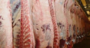 En mayo el precio de la carne subió 6,1%, mientras las exportaciones cayeron 35 %
