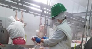 Las campañas que desalientan el consumo de carne amenazan a la principal fuente de proteínas de los argentinos