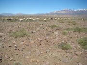 Un libro explica cómo los ecosistemas de la Patagonia favorecen a las sociedades