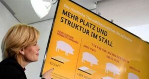 Europa debate sobre etiquetas de bienestar animal y eso no debe ser ajeno