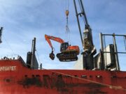 China se exportarán 32.000 toneladas de troncos de pino